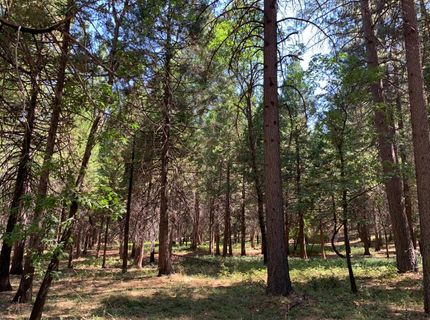 12043 Pasquale Rd, Nevada City, CA 95959 Photo