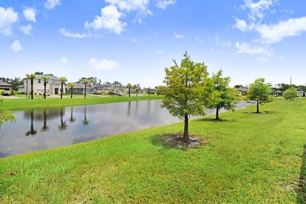 8076 Tea Olive Terrace, Palmetto, FL 34221 Photo