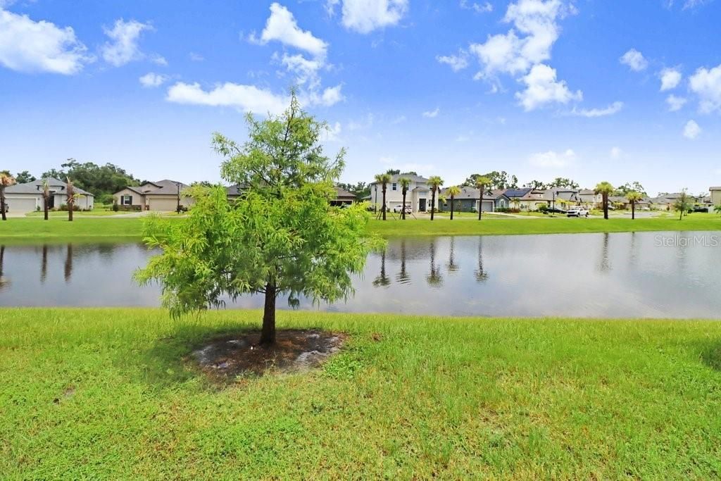 8076 Tea Olive Terrace, Palmetto, FL 34221 Photo