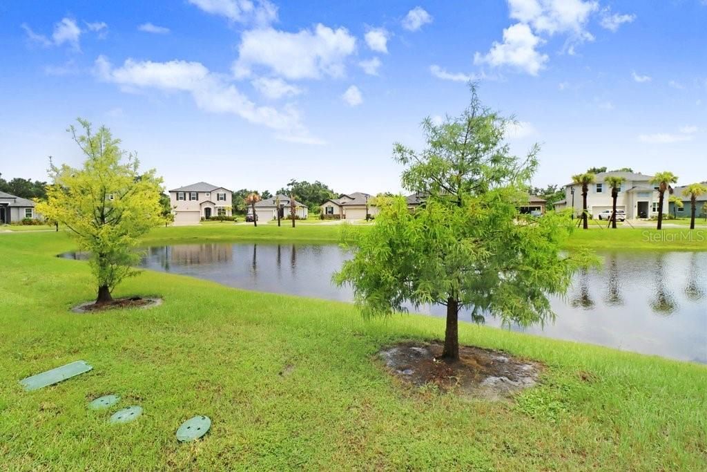 8076 Tea Olive Terrace, Palmetto, FL 34221 Photo