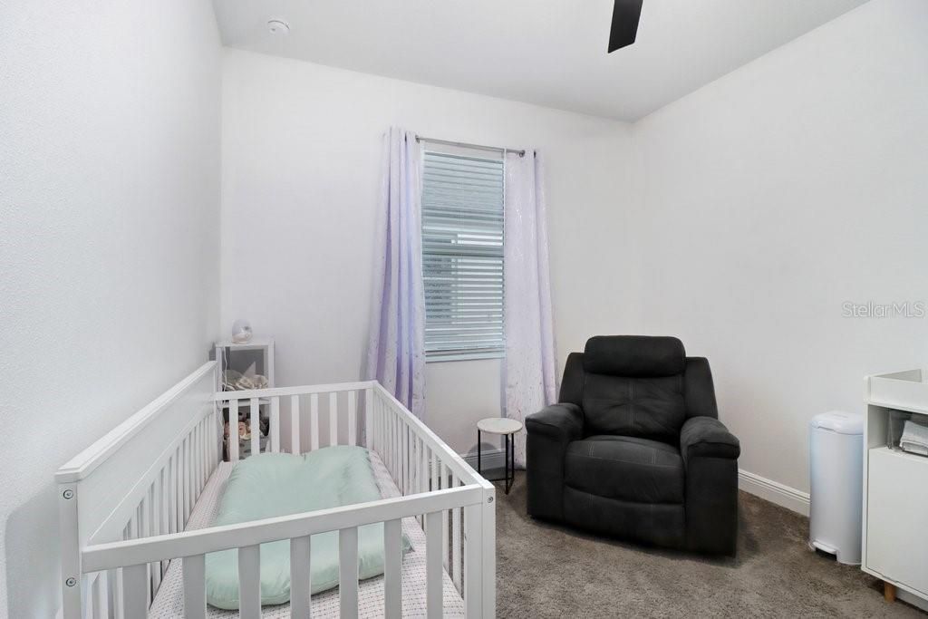 8076 Tea Olive Terrace, Palmetto, FL 34221 Photo