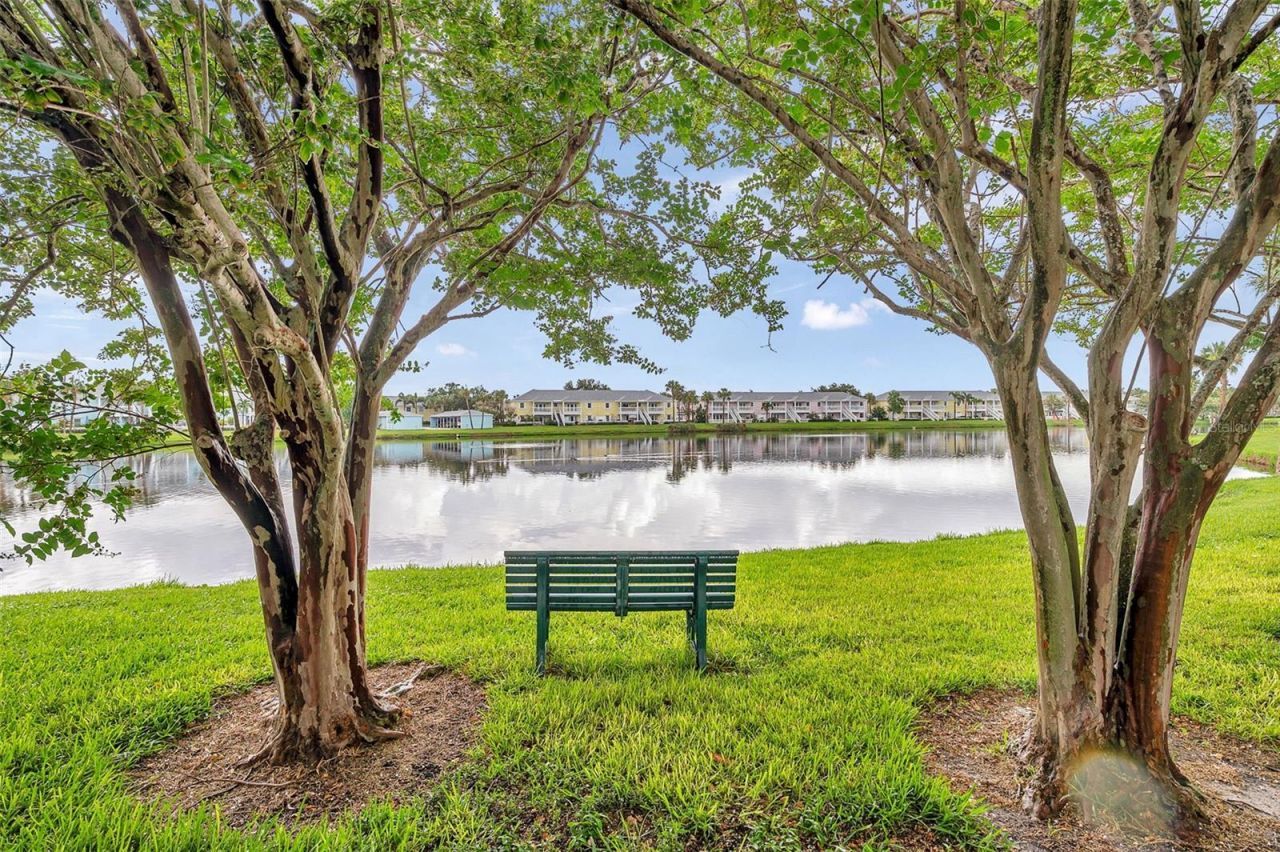 121 Seahorse Drive Se, Unit A, Saint Petersburg, FL 33705 Photo