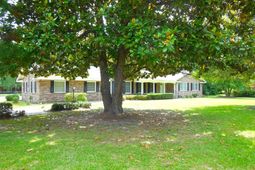 2354 Griffith Drive photo 4