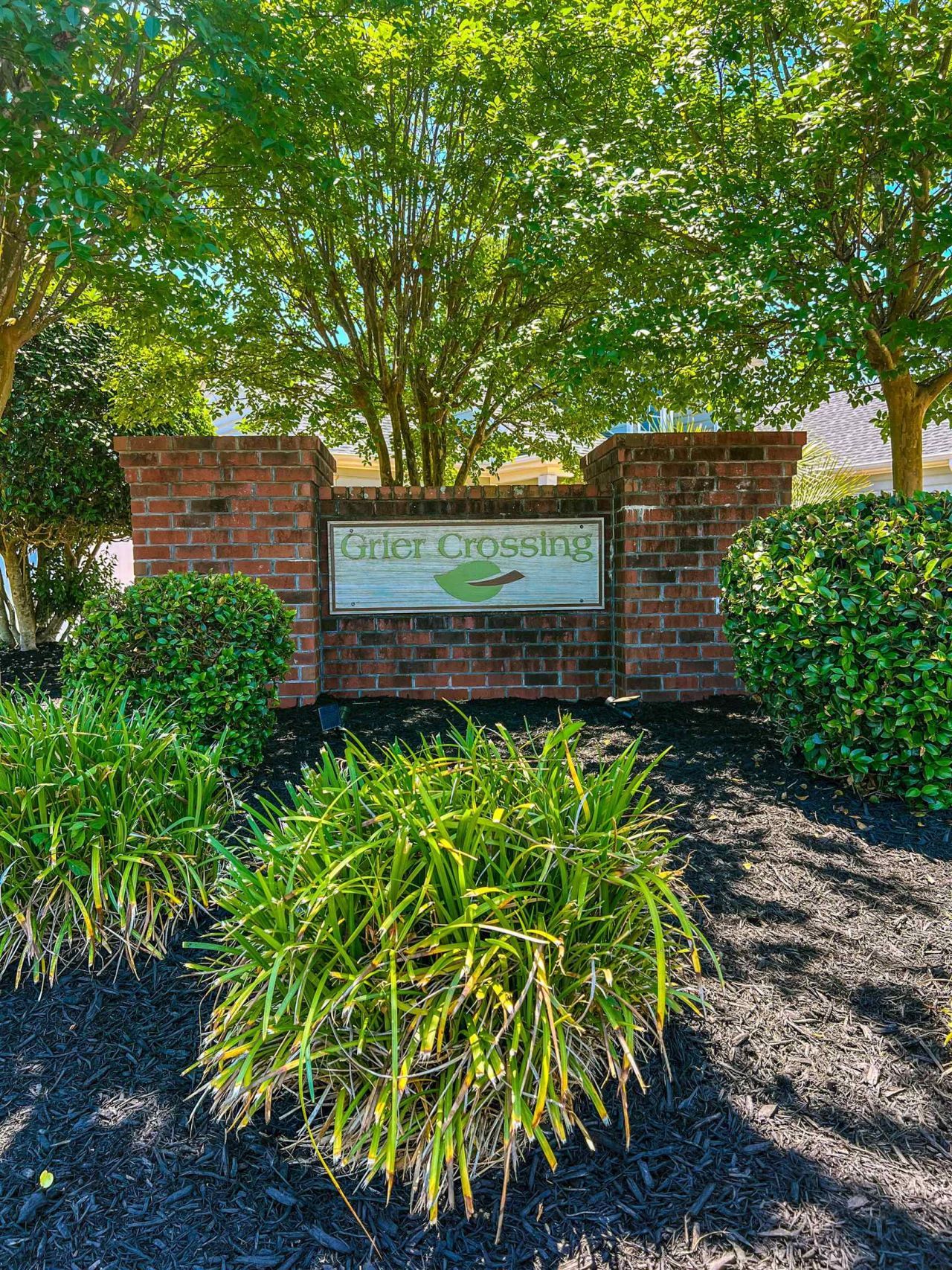 221 Maple Oak Dr. Photo 32