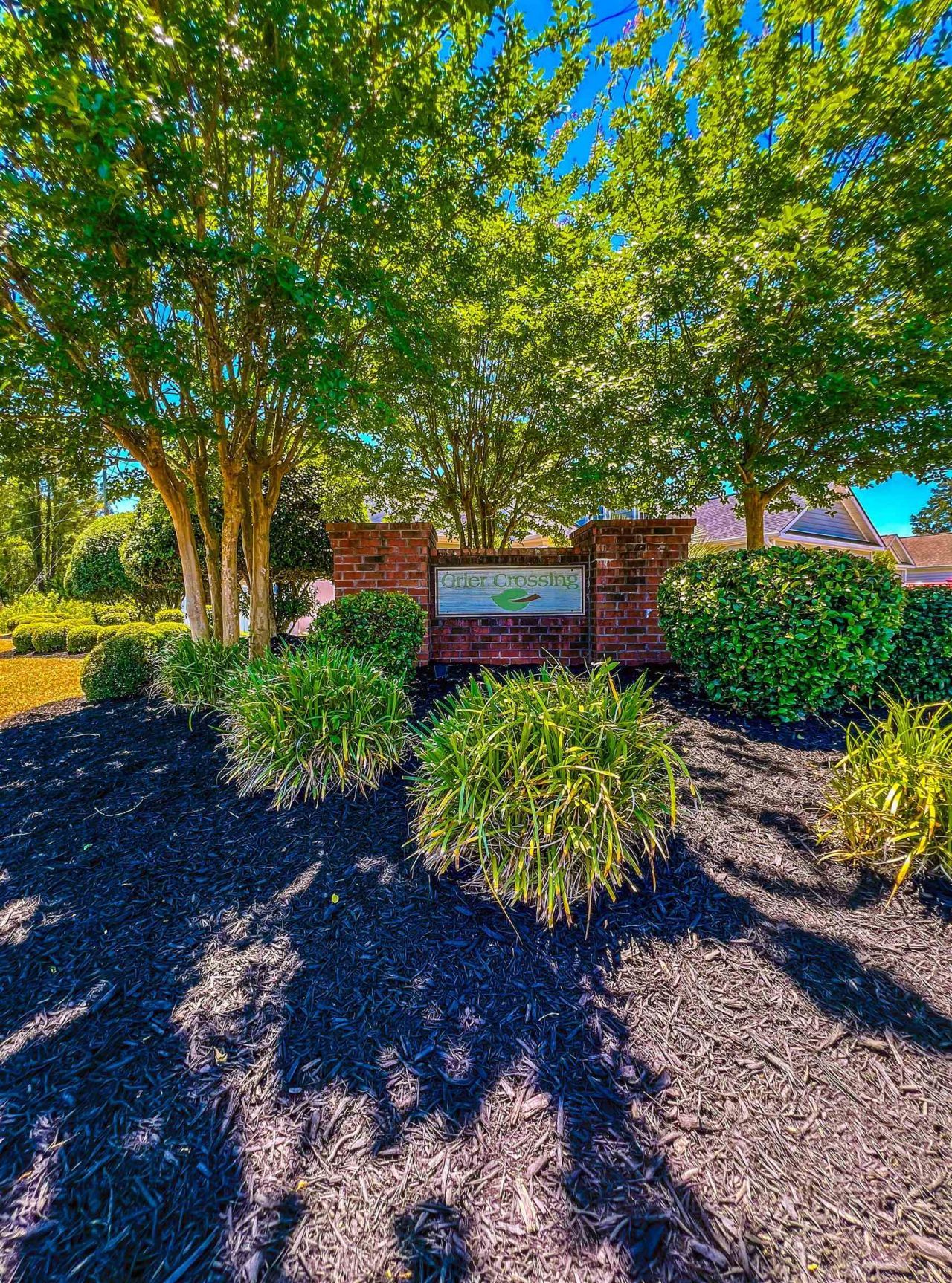 221 Maple Oak Dr. Photo 34