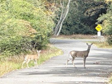 0 HUNTER LANE, ALBRIGHTSVILLE, PA 18210