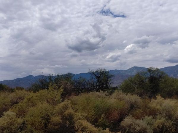 0000 W DOGGIE Drive, Unit 163, Swift Trail Junction, AZ 85546