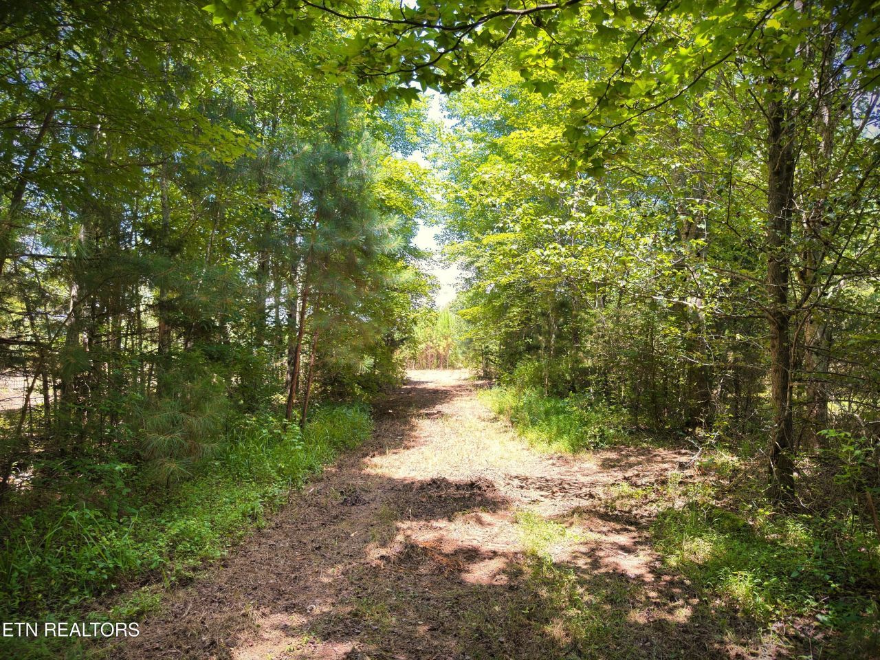 Marcrom Rd, Morrison, TN 37357 Main Photo