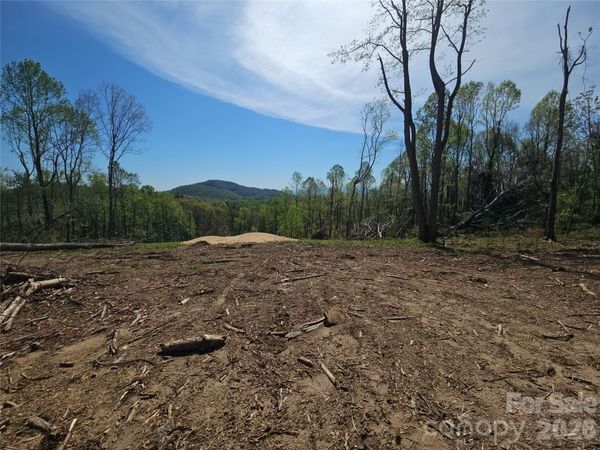 620 Dancing Bear Drive, Hendersonville, NC 28792