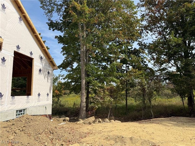 S/L 27 Devon Path, Medina, OH 44256 Photo 3