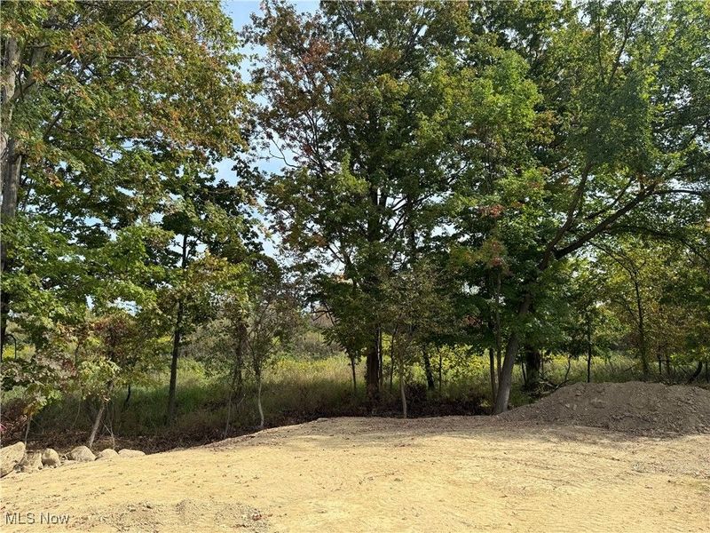 S/L 27 Devon Path, Medina, OH 44256 Photo 4