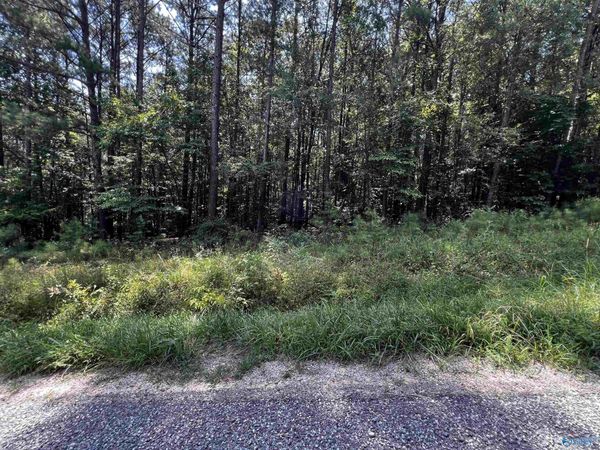 0.69 Acres County Road 592, Leesburg, AL 35983