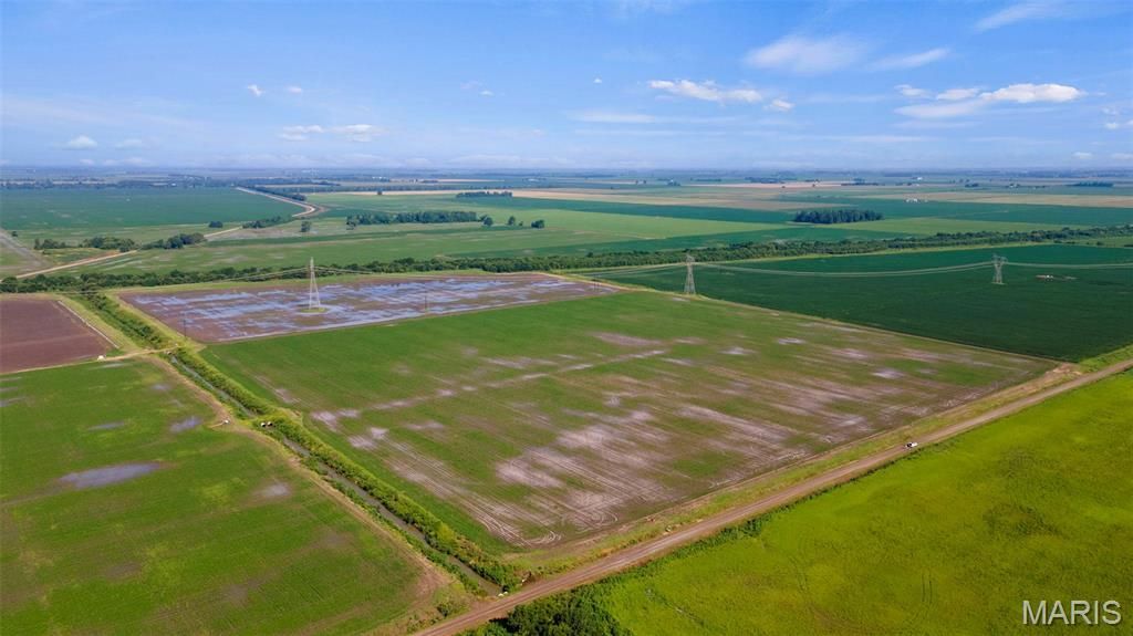 0 County Road 263, Hayti, MO 63841 Main Photo