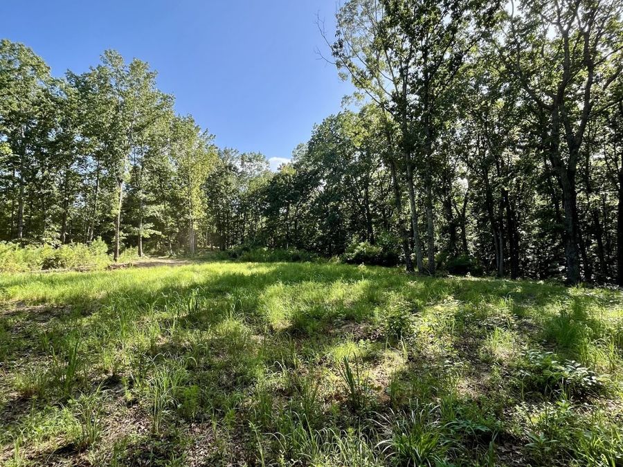 Property Image 51