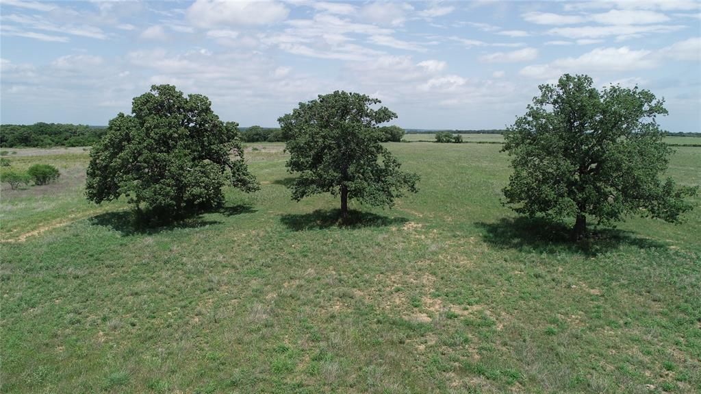 Tbd Tract 2 County Road 109, Mingus, TX 76463 Main Photo