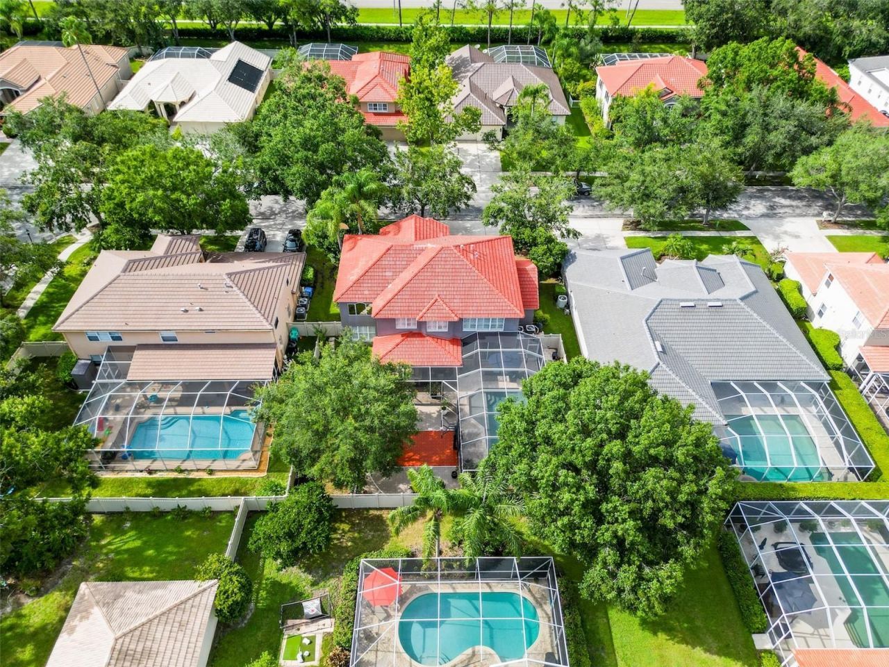 18142 Regents Square Drive, Tampa, FL 33647 Photo