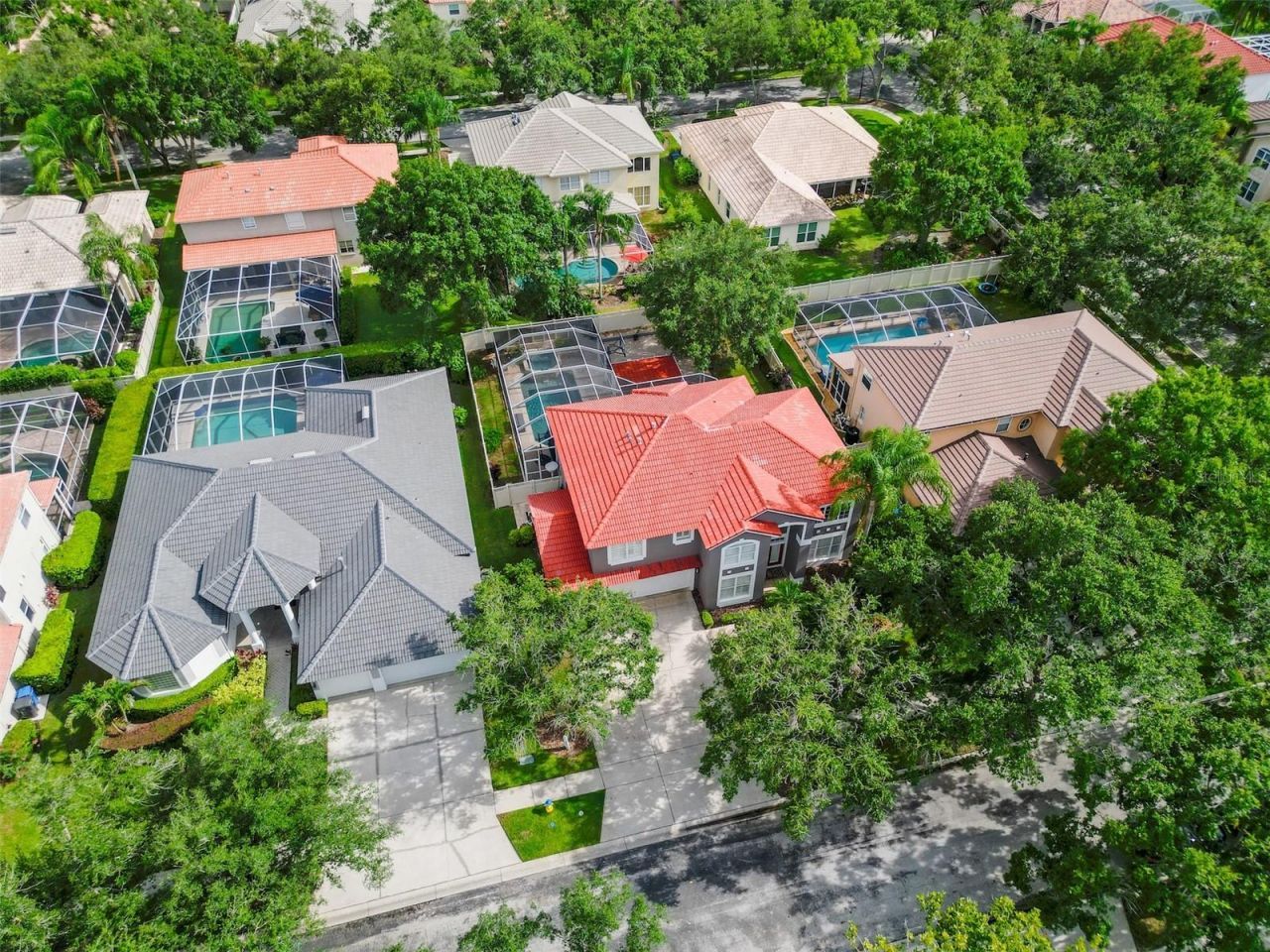 18142 Regents Square Drive, Tampa, FL 33647 Photo