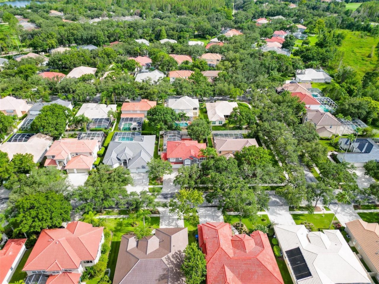 18142 Regents Square Drive, Tampa, FL 33647 Photo