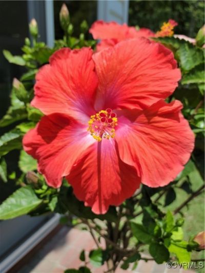 None Shady Pines Lane, Providence Forge, VA 23141 Main Photo