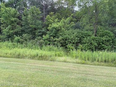 Vienna, Thetford Twp, MI 48420