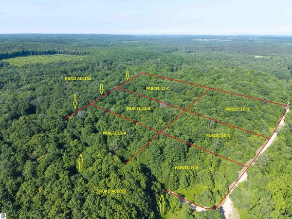 12 Plainfield Trail, Elmira, MI 49730