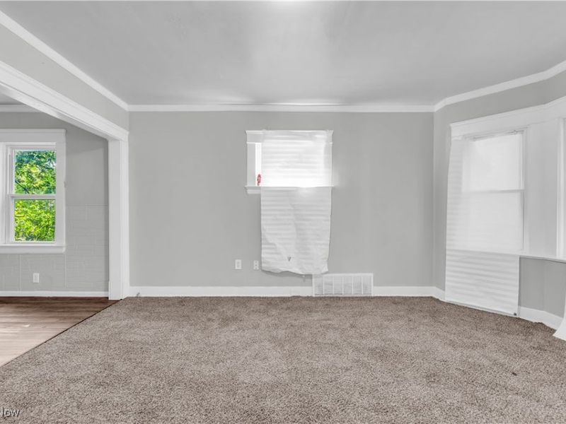 14106 Sylvia Avenue, Cleveland, OH 44110 Photo 4