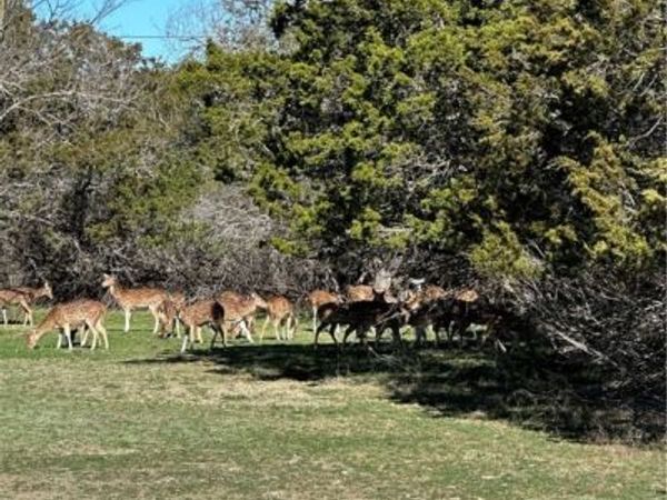 0 Deerwood Circle , Bandera, TX 78003