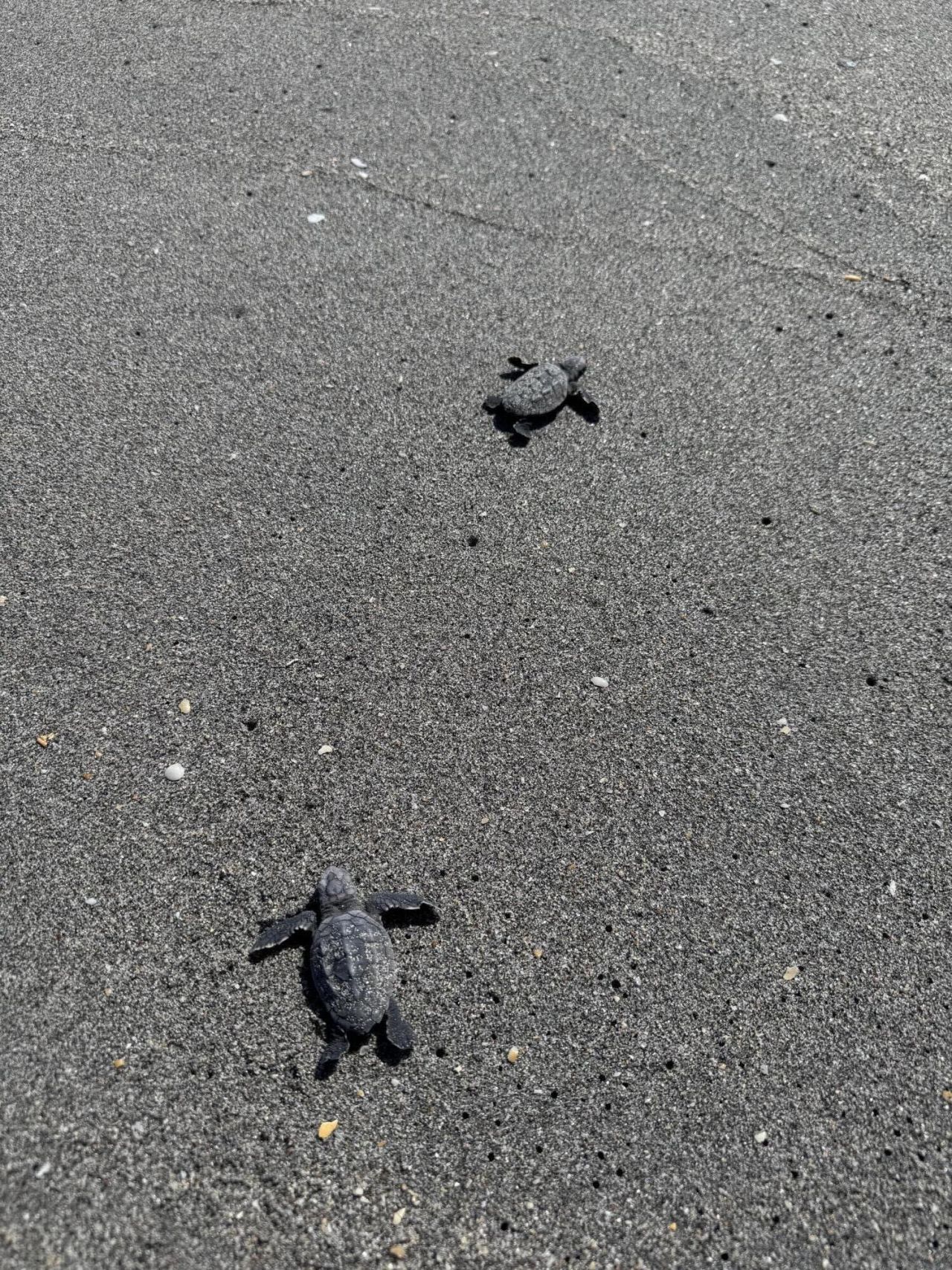 3422 SE Fairway W, Stuart, FL 34997 Photo