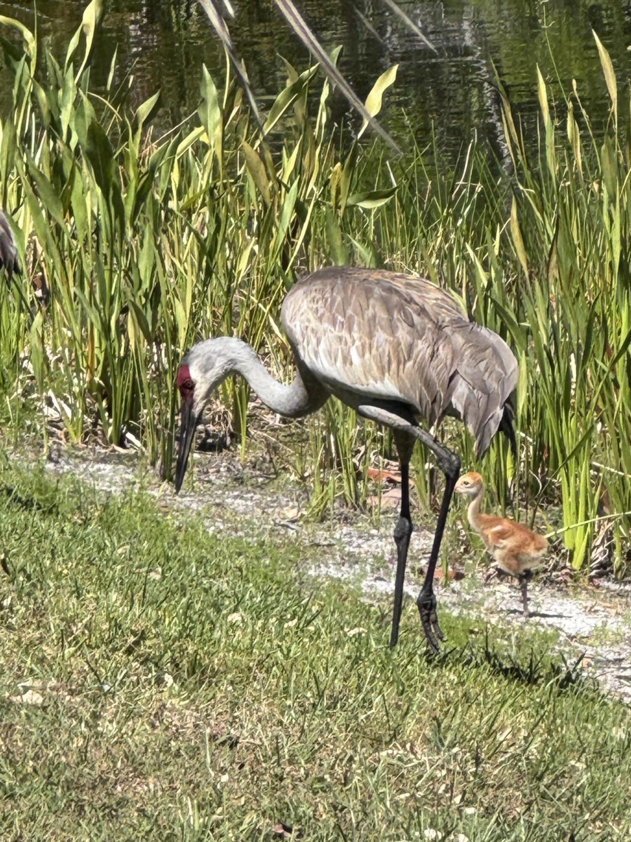 3422 SE Fairway W, Stuart, FL 34997 Photo