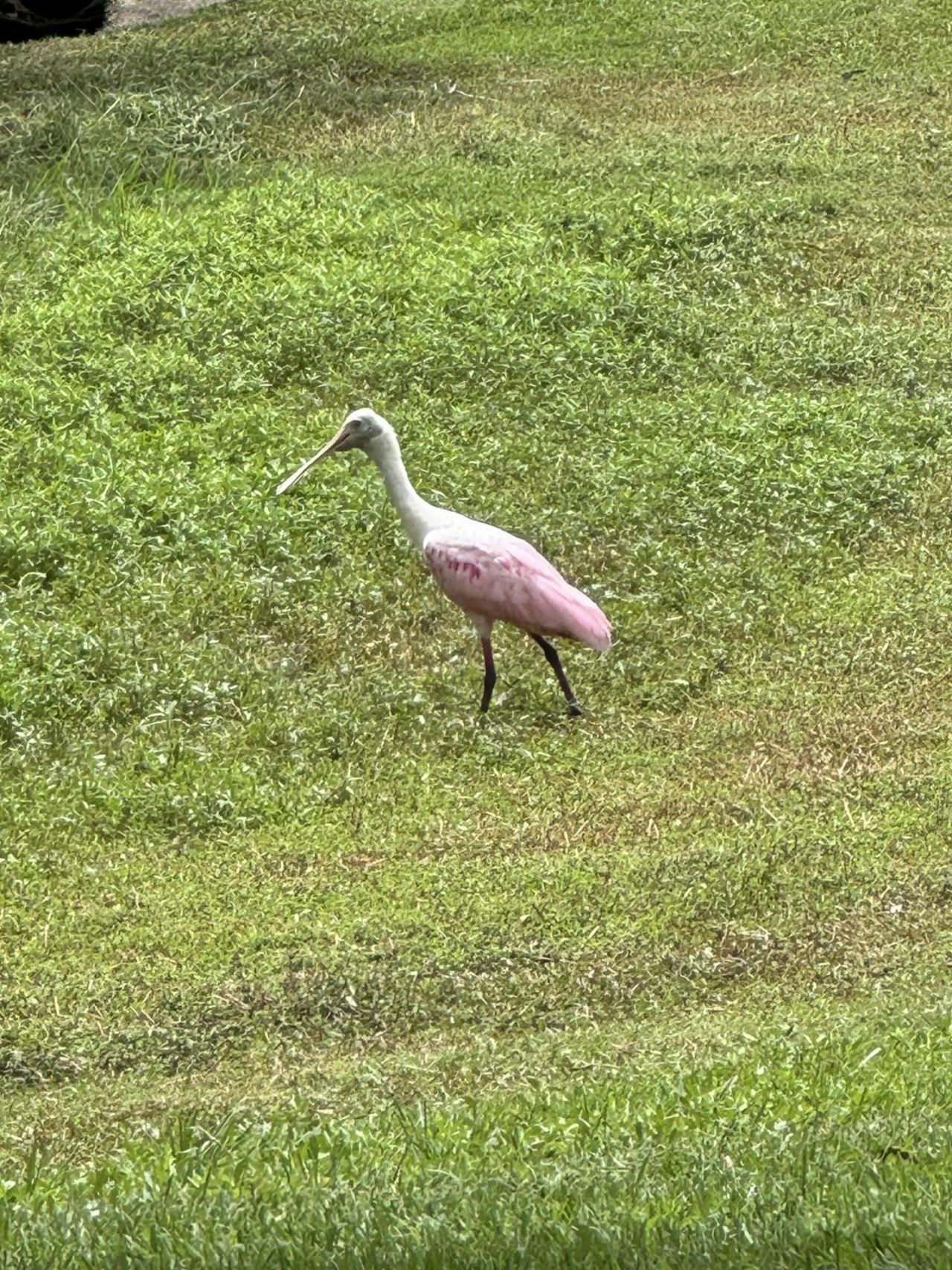 3422 SE Fairway W, Stuart, FL 34997 Photo