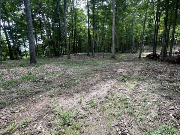 Lot 2 Moore Road, Lavalette, WV 25535