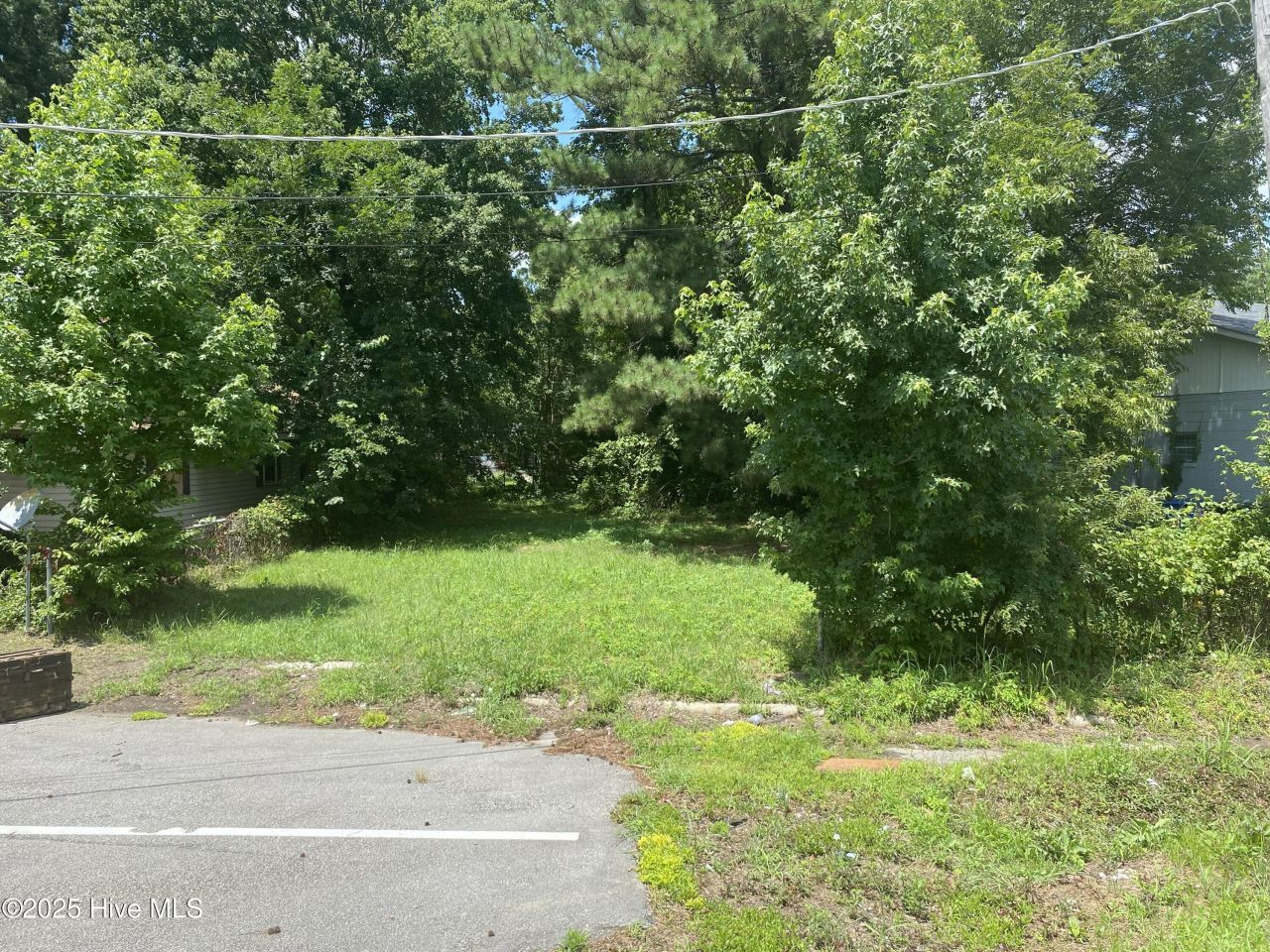 1207 Lincoln Street Se, Wilson, NC 27893 Main Photo