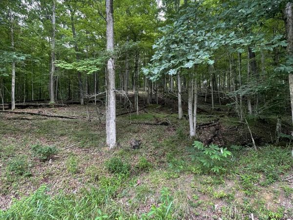 Lot 5 Moore Road, Lavalette, WV 25535