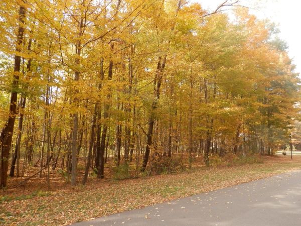 1 Harlan Drive, Watervliet, MI 49098