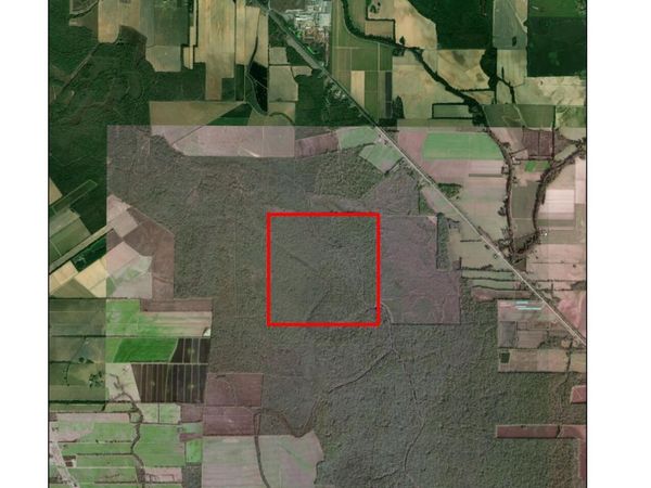 Sect 35 T3s R4e, Morrow, LA 71356