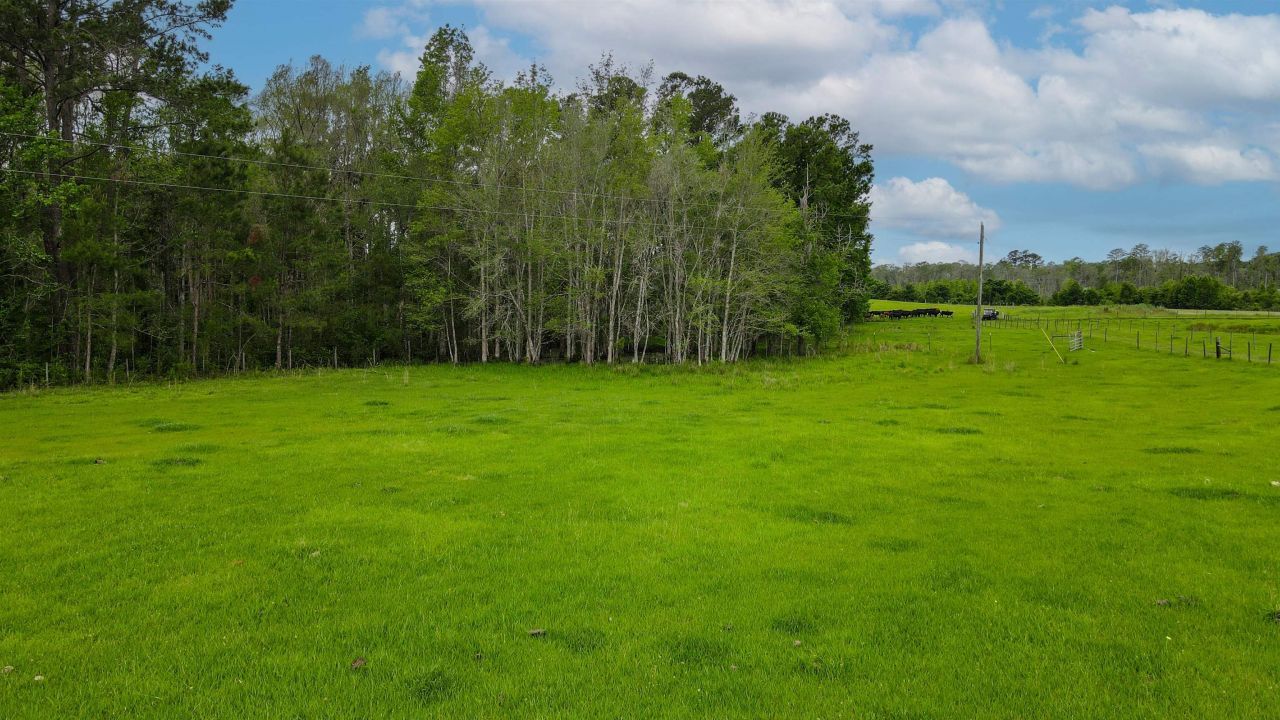 Tbd NW Hawks Ave Avenue, Greenville, FL 32331 Photo