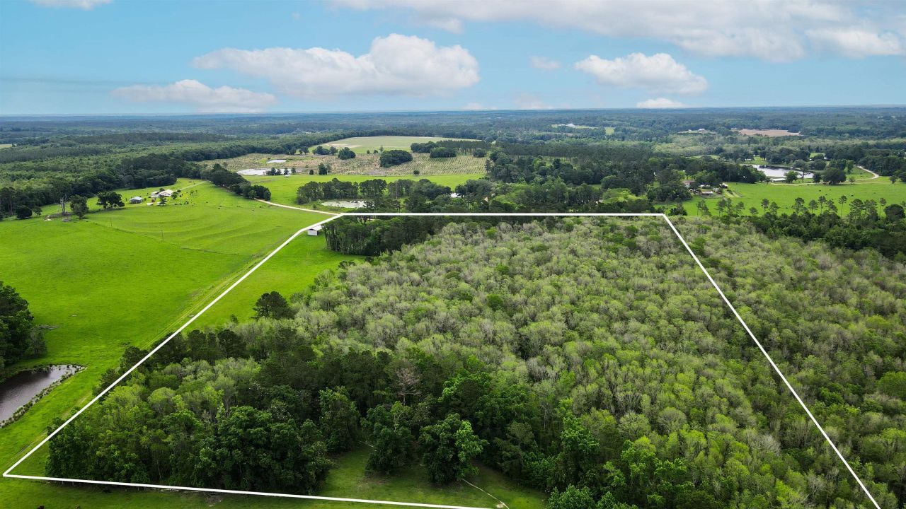 Tbd NW Hawks Ave Avenue, Greenville, FL 32331 Photo