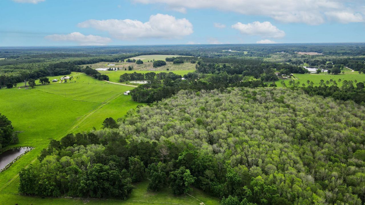 Tbd NW Hawks Ave Avenue, Greenville, FL 32331 Photo