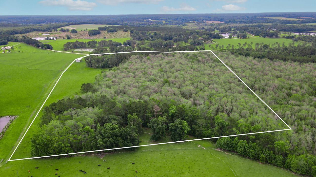 Tbd NW Hawks Ave Avenue, Greenville, FL 32331 Photo