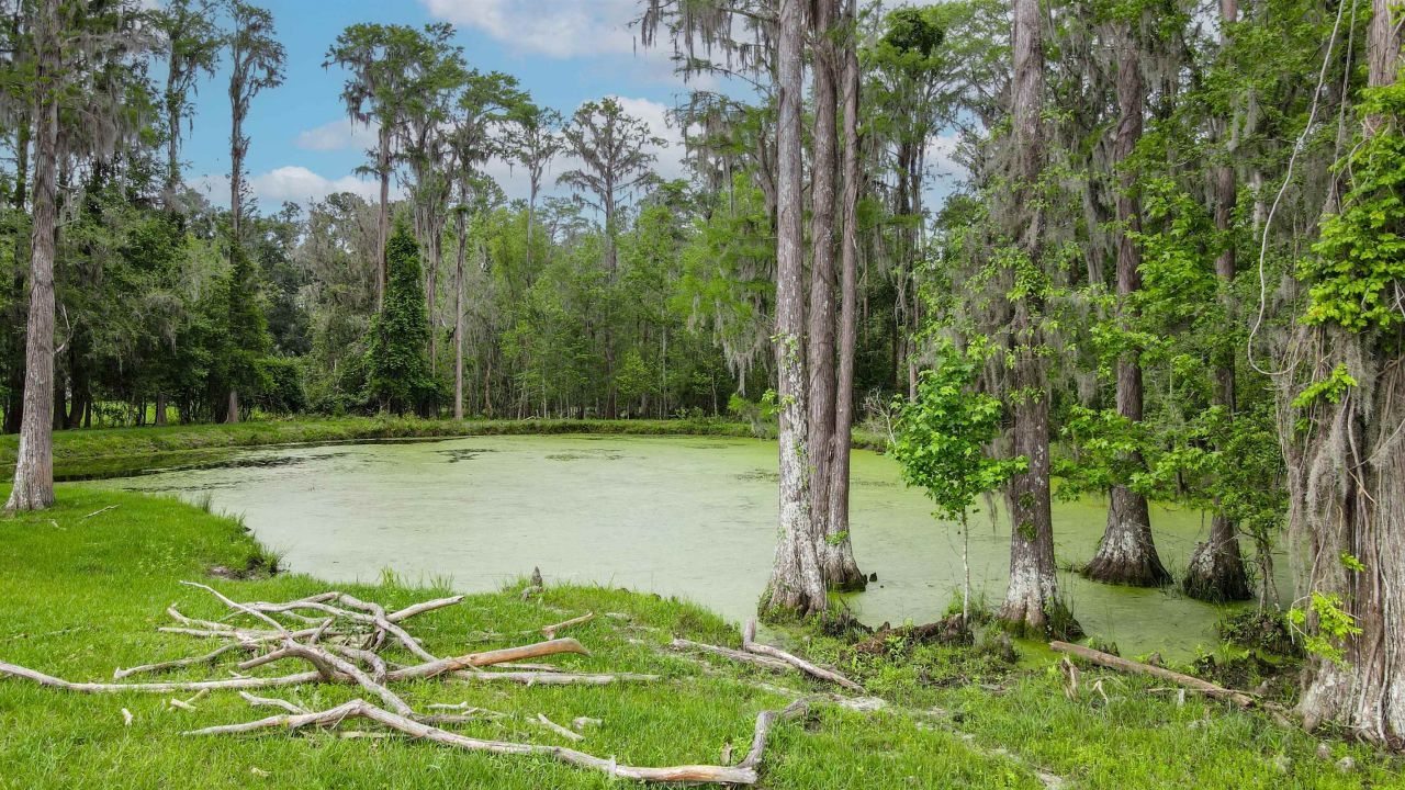 Tbd NW Hawks Ave Avenue, Greenville, FL 32331 Photo