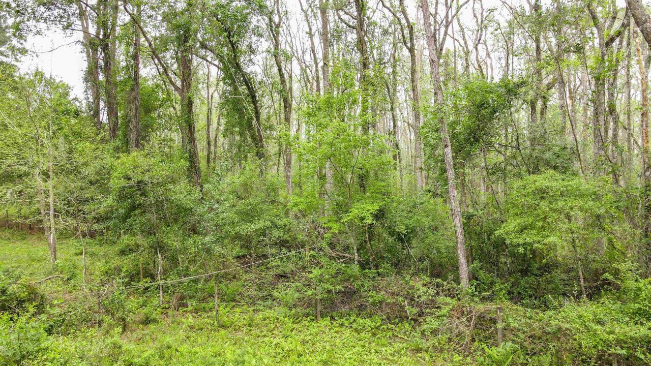 Tbd NW Hawks Ave Avenue, Greenville, FL 32331 Photo