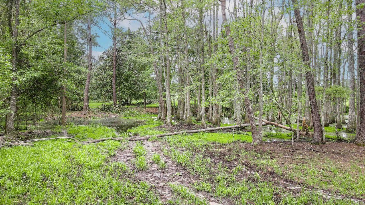 Tbd NW Hawks Ave Avenue, Greenville, FL 32331 Photo