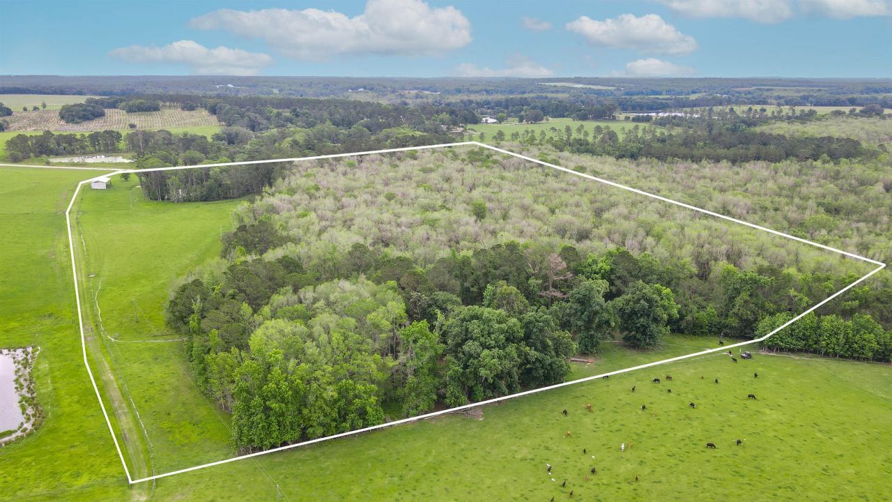 Tbd NW Hawks Ave Avenue, Greenville, FL 32331 Photo