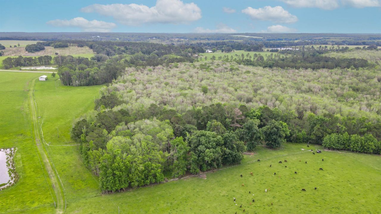 Tbd NW Hawks Ave Avenue, Greenville, FL 32331 Photo