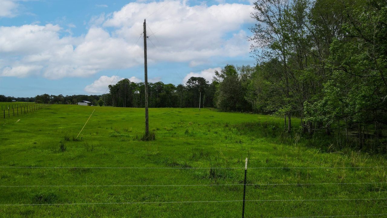 Tbd NW Hawks Ave Avenue, Greenville, FL 32331 Photo