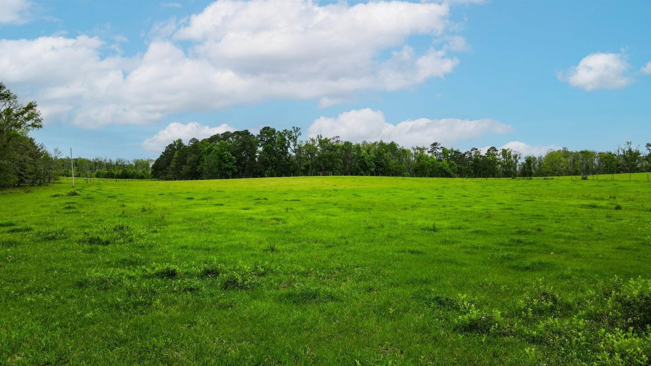 Tbd NW Hawks Ave Avenue, Greenville, FL 32331 Photo