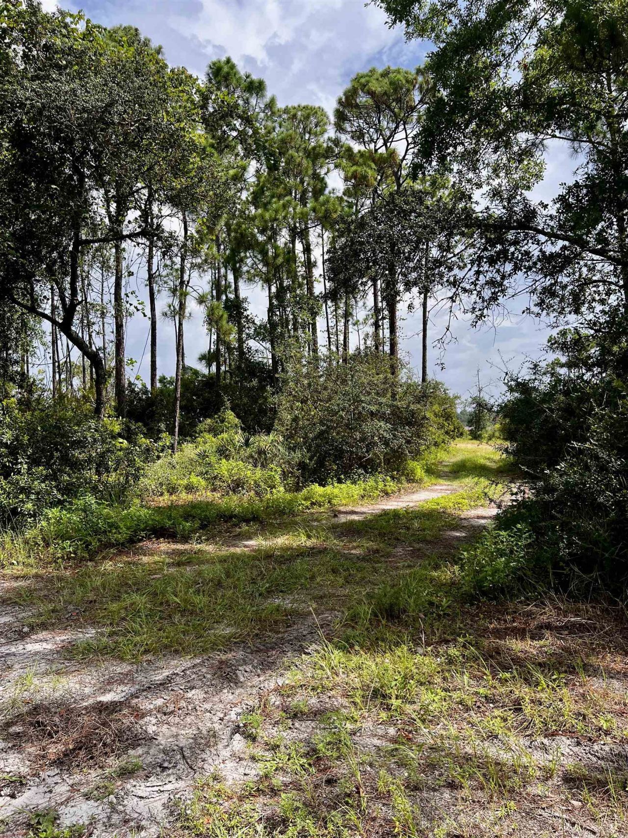 149 Timber Island Road, Carrabelle, FL 32322 Photo