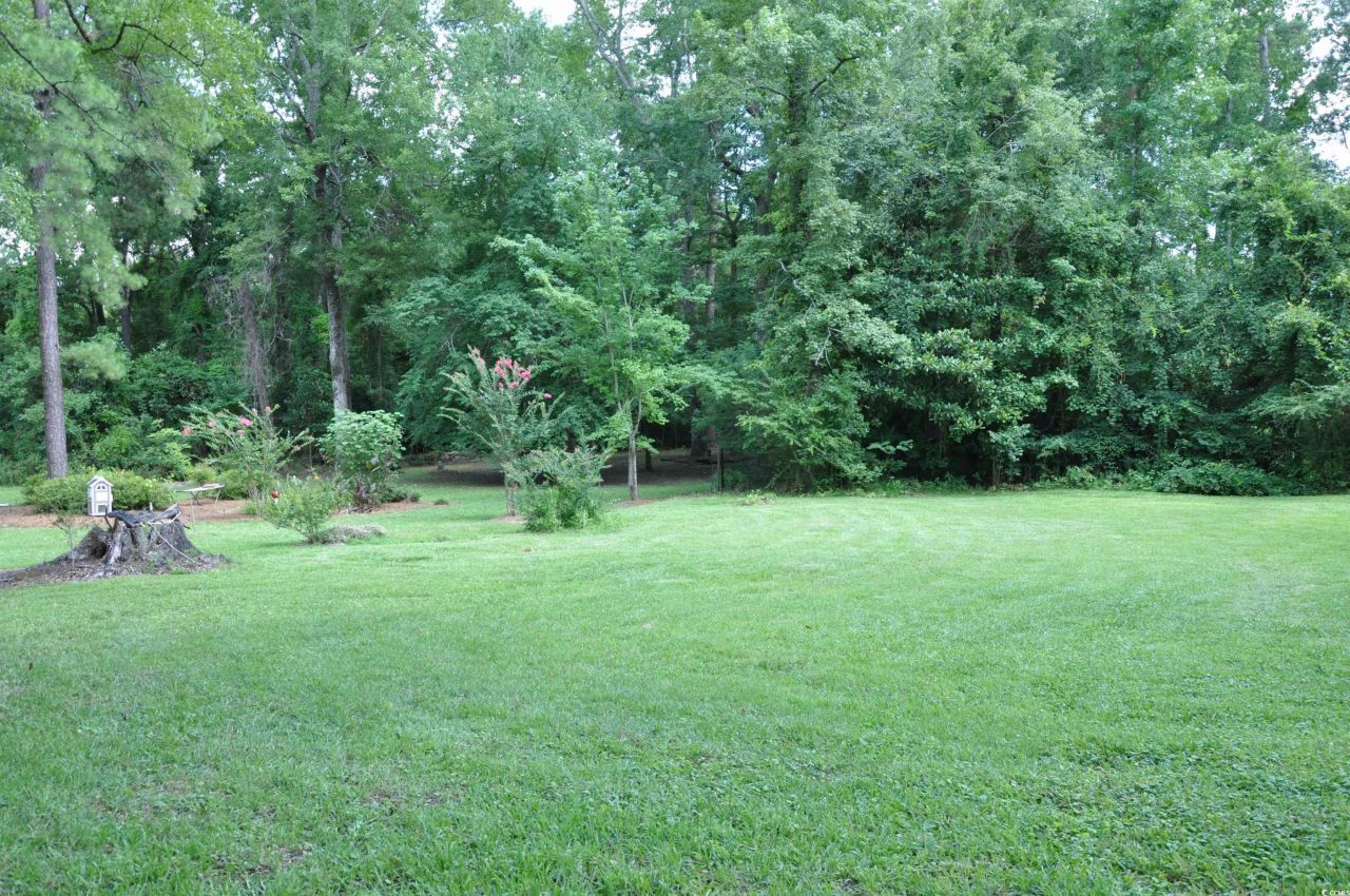 5632 Main St. Photo 37