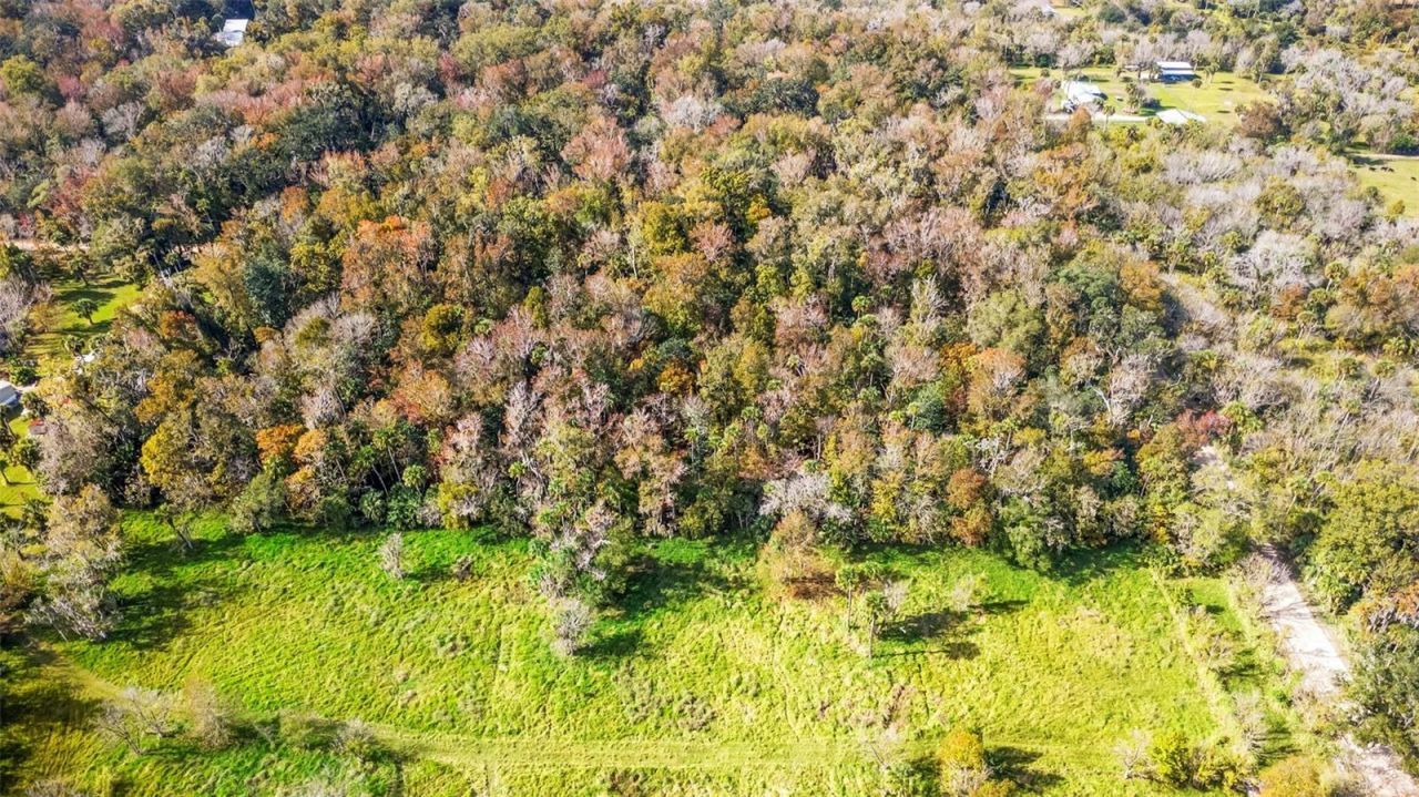 Volco Road, Edgewater, FL 32141 Photo