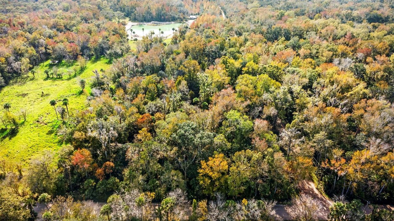 Volco Road, Edgewater, FL 32141 Photo